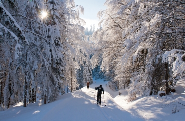 JBX Avenue Lipno se skipasem a wellness