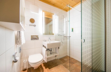 Hotel Alpbach ****
