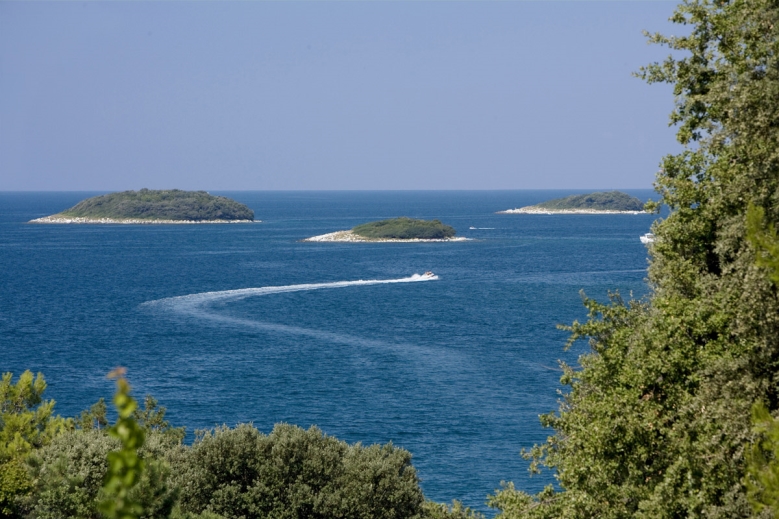 Hotel Orsera Camping