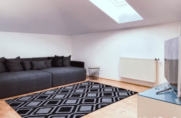Apartm�ny Karasek se skipasem ***