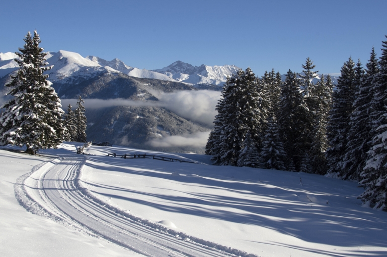 Hotel Bergeralm Chalets by ALPS RESORTS