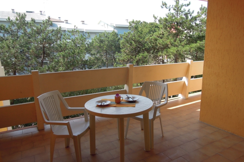 Hotel Apt. domy Landorra / Carina