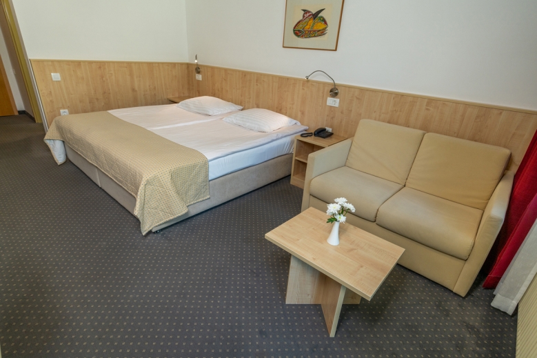 Hotel Hotel Jezero Bohinj bez skipasu