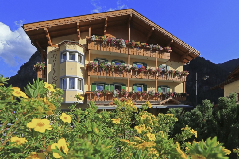 Hotel Hotel Ladina