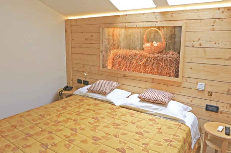 Hotel Hotel Ladina