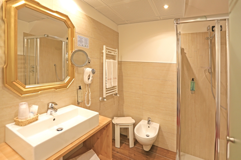 Hotel Hotel Ladina