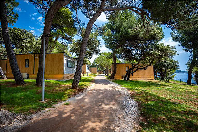 Kemp Arena Stoja MH 5