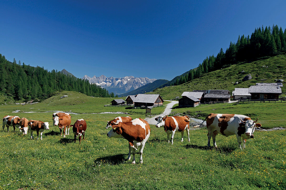 Hotel Gut Raunerhof 5