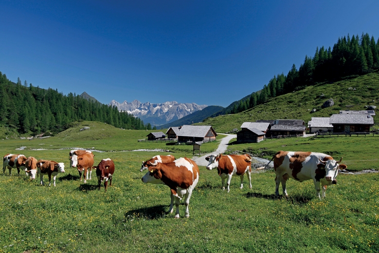Hotel Hotel Gut Raunerhof