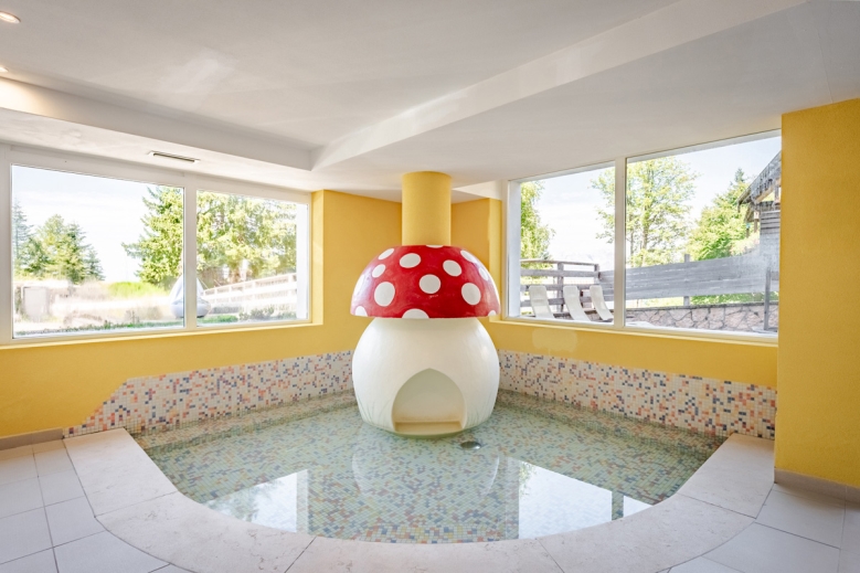 Hotel Hotel Alpine Mugon