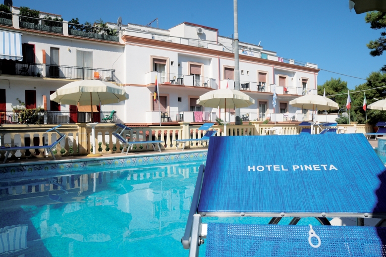 Hotel Hotel Pineta