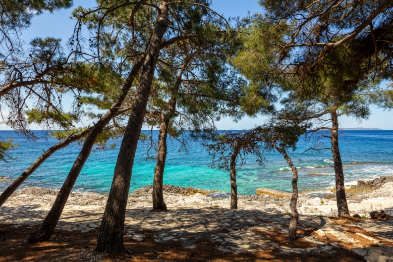 Hotel Family Hotel Vespera