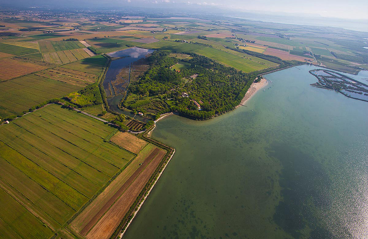 Belvedere Pineta Camping Village 23