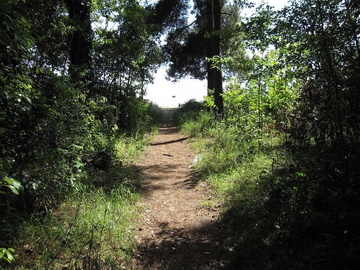 Privátní apartmány Grado 31