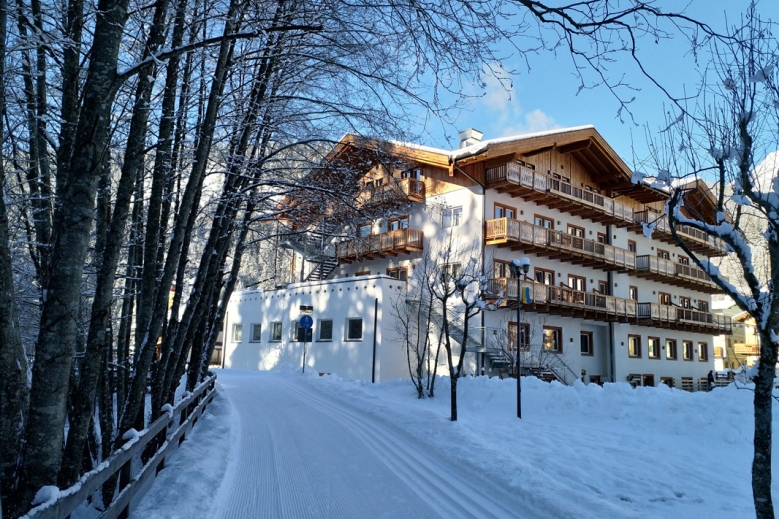 Hotel Park Hotel Avisio