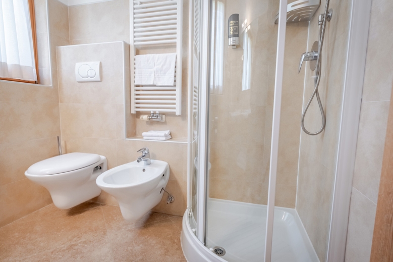 Hotel Hotel Alpine Mugon