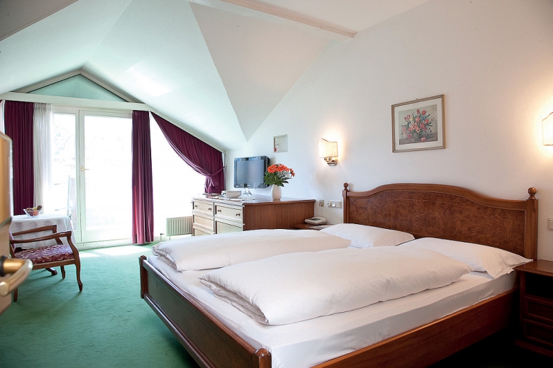 Hotel Hotel Grüner Baum