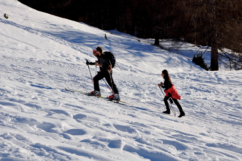 Hotel Natur & Aktiv Hotel Rogen
