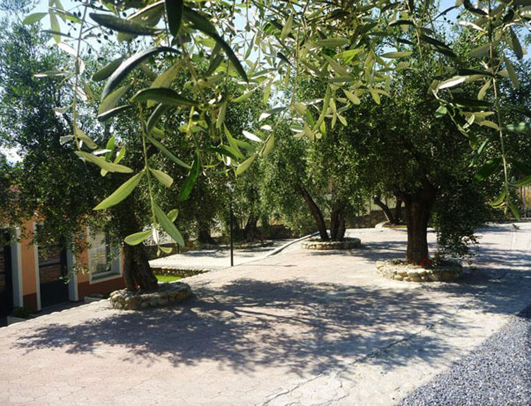 Villaggio Borgoverde 8