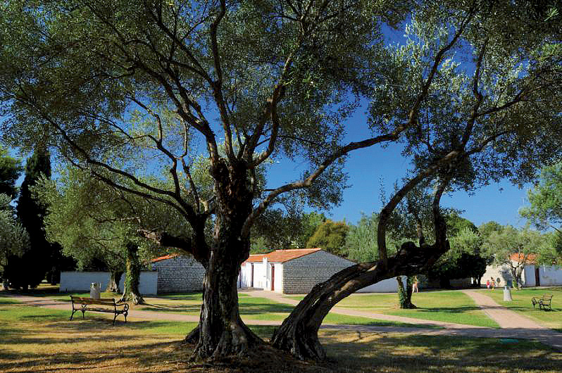 Resort Villas Rubin - apartmány 7