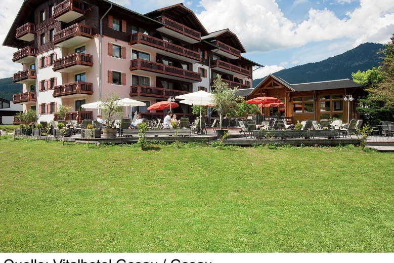 Hotel Vitalhotel Gosau