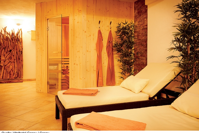 Hotel Vitalhotel Gosau