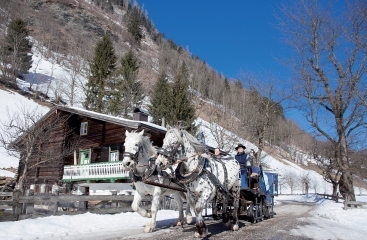 Gasthof Andrelwirt ***
