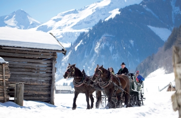 Gasthof Andrelwirt ***
