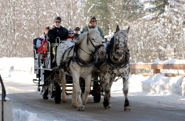 Gasthof Andrelwirt ***
