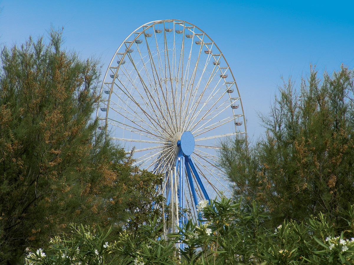 Hotel Michelangelo 15