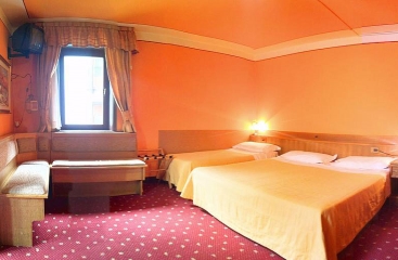 Hotel Alle Alpi ***