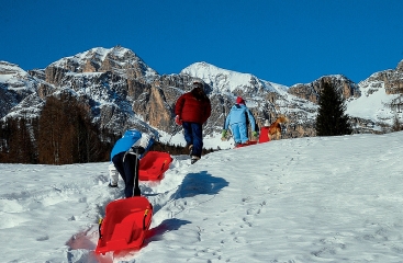 Sport Hotel Cortina Barisetti ***