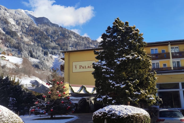 Hotel Hotel Palace
