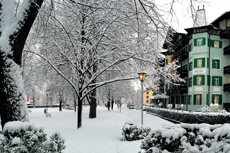 Hotel Hotel Dependance Grüner Baum