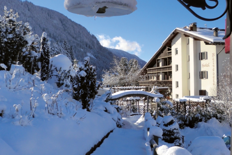 Hotel Belvedere Dolomites Flower Hotel