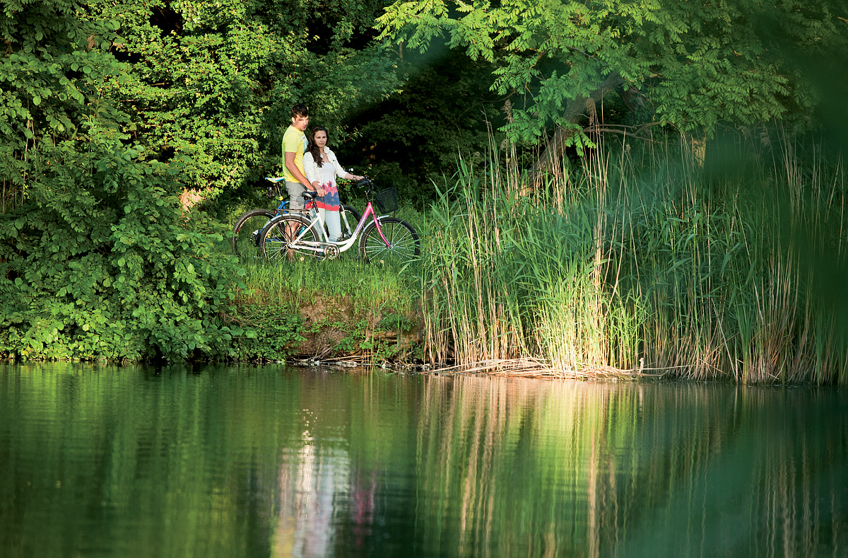 Hotel Park Inn Sárvár 15