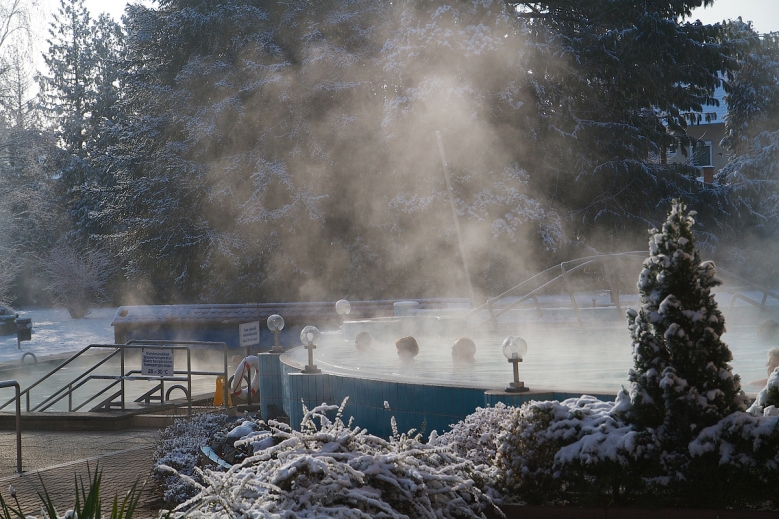 Hotel Hotel Danubius Health Spa Resort Sárvár dovolenka