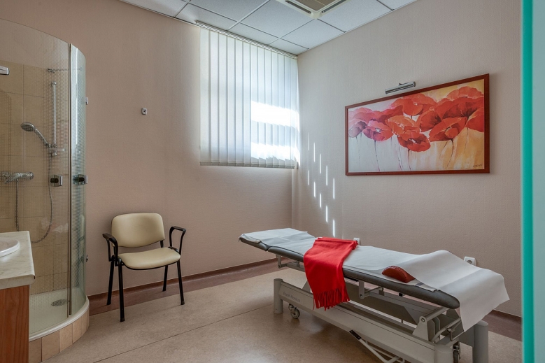 Hotel Hotel Danubius Health Spa Resort Sárvár dovolenka