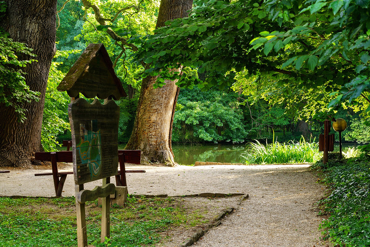 Hotel Ensana Health Spa Resort Sárvár 26