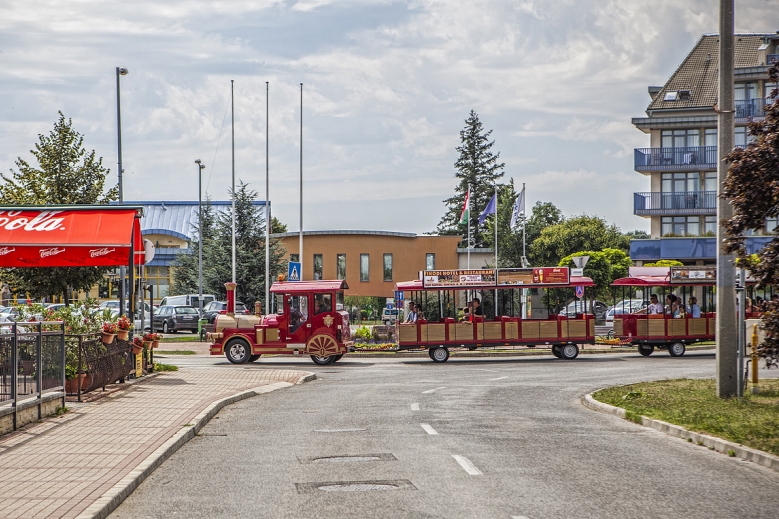 Hotel Hotel Danubius Health Spa Resort Sárvár dovolenka
