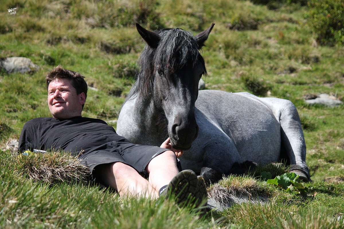 Landhotel Postgut 26