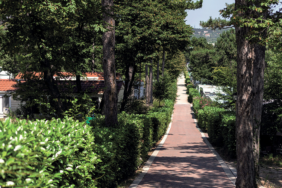 Mare Pineta Camping Village 5