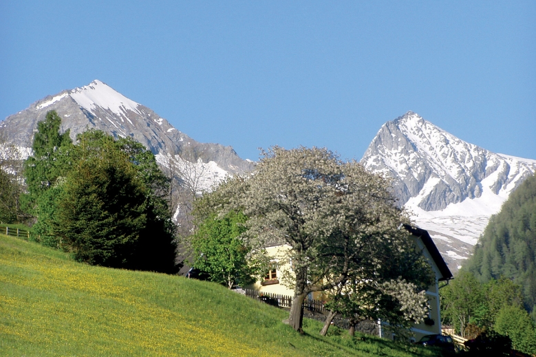 Hotel Drei Gemsen/Edelweiss