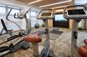 Wellness Hotel Svornost ***