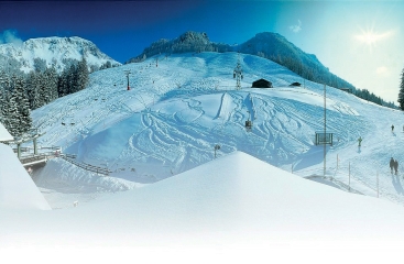 Alpen Hotel Seimler ***