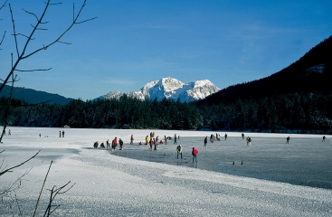 Alpen Hotel Seimler ***