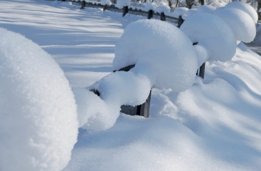 Alpen Hotel Seimler ***