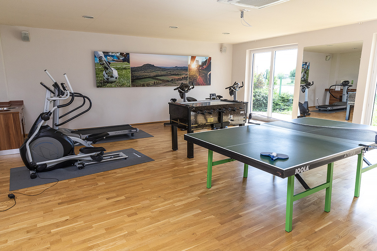 Vulkán Wellness Hotel Celldömölk 43