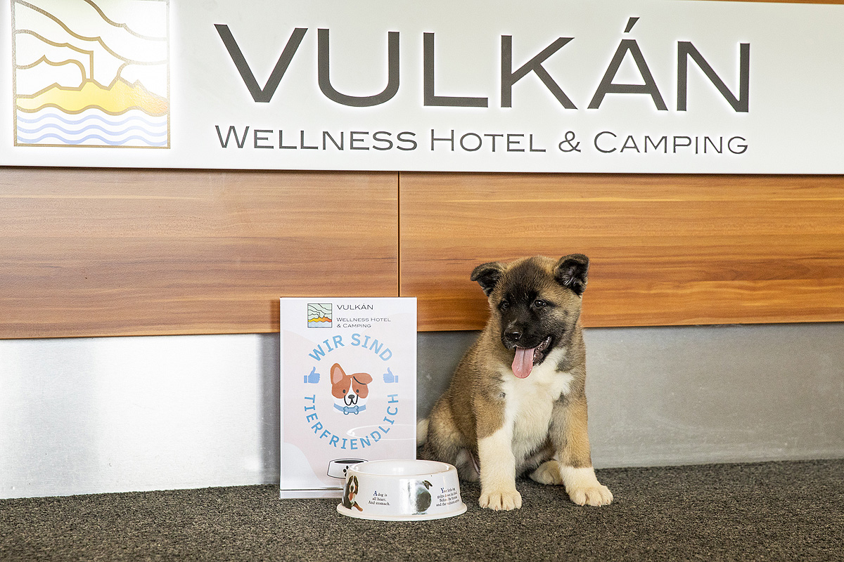 Vulkán Wellness Hotel Celldömölk 48