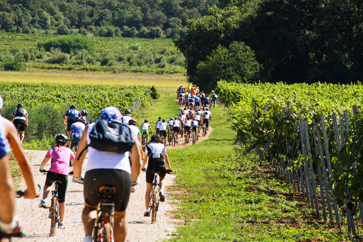 Laguna Maradiso Hotel by Aminess 16